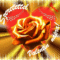 valentin_napra_567397_91552_n
