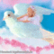 www_tvn_hu_9e3dc26a386162de831c1bc662ca1f72