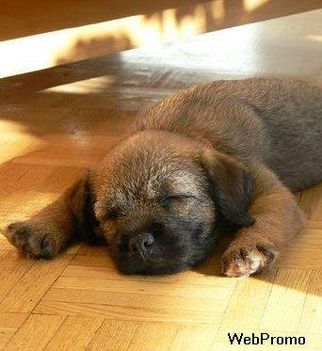 185122_375016895911571_738577900_n