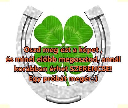 282204_424502704273930_1173783347_n