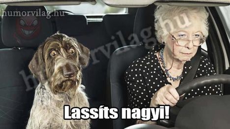 284107_437839349585498_457277887_n