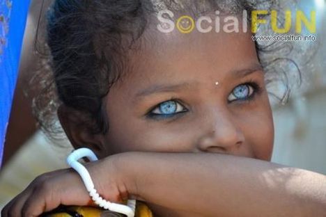 292923_395058240548383_1549186086_n