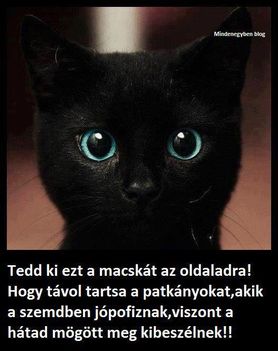 306694_405104302864594_846342758_n