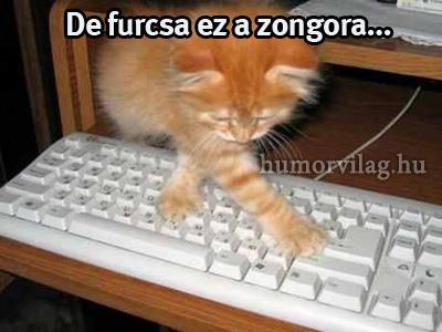 316800_426864847349615_1238517713_n