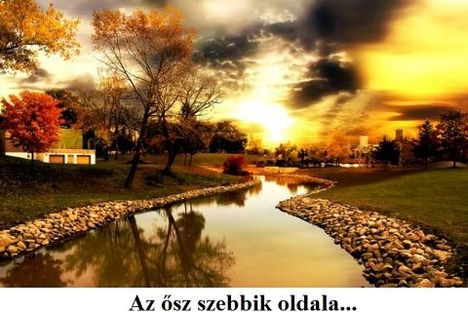 320296_362522550494339_1250412755_n