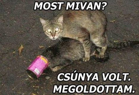 373875_390527391001468_374665769_n