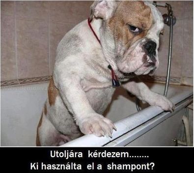 523396_341515495943108_297939229_n