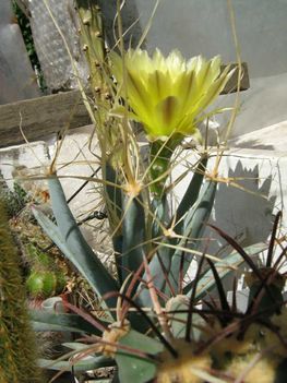 Le-principis1=+070805