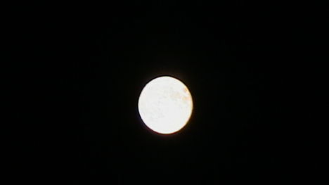 Nei Pori 2012 2