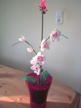 Orchidea gyöngyből