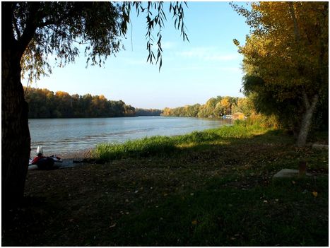 tisza 6