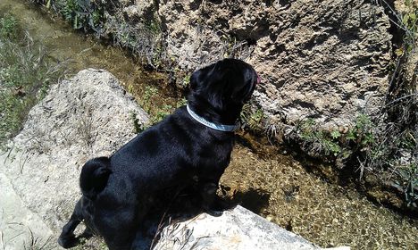 Bögre Granadában 9