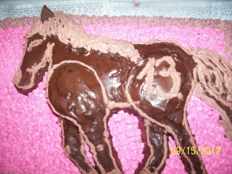 Kép 297 lovas torta!