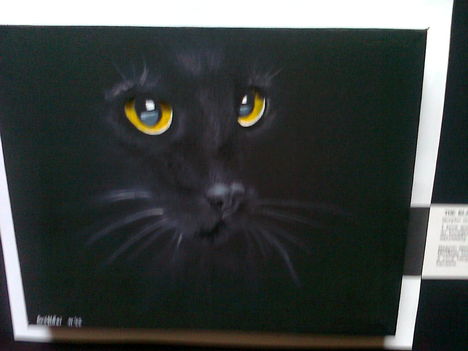 A fekete macska