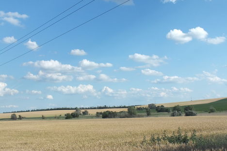 DSCF6832