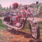 Mz ts125