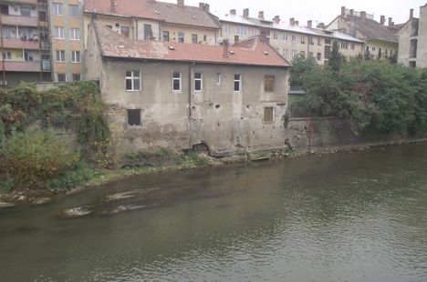 őszifotok 3