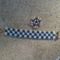 SAM_1451