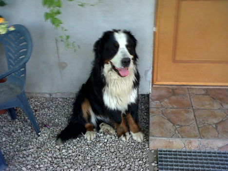 beni