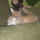 Csufi♥