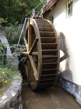 IMG_4049