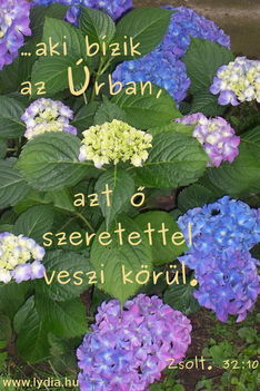 bizalom_jo