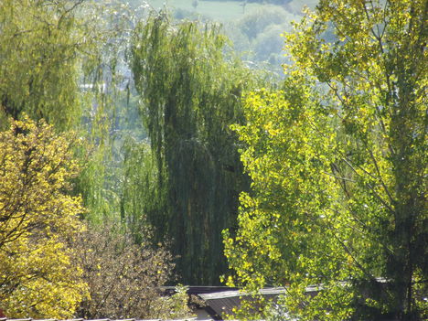 DSCF1723