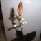 Ékszerorchidea 2