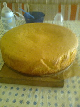 Fehér alaptorta