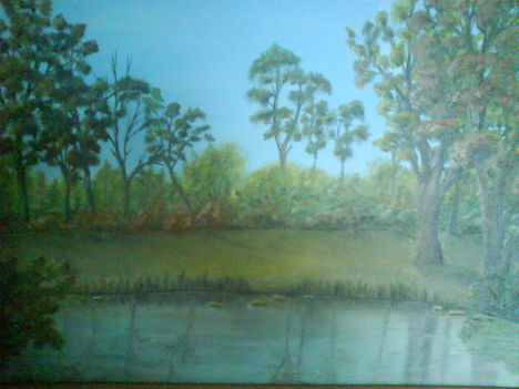 Tópart (Olaj-francia vászon-40x30 cm)