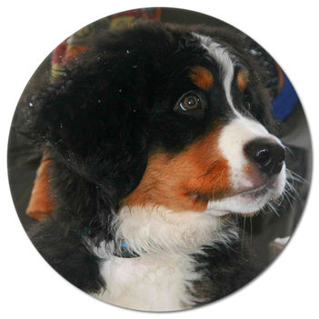 tuxpi.com