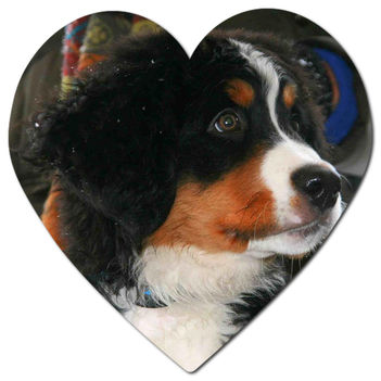 tuxpi.com