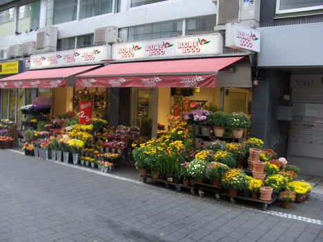 HPIM3592