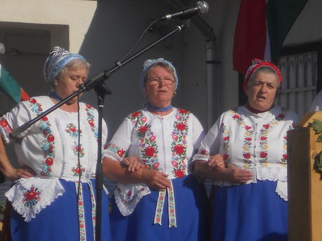 Majálisi szereplés a falunkba.