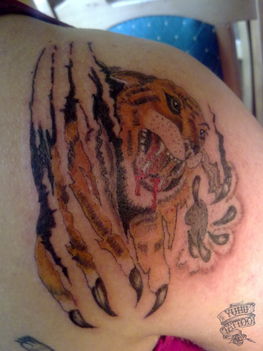 tigris