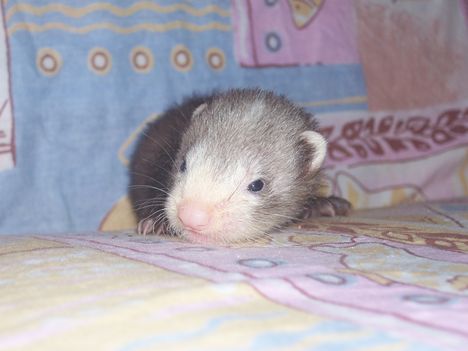 2011.06.07