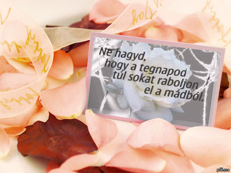 FYZfsPV_1354111578