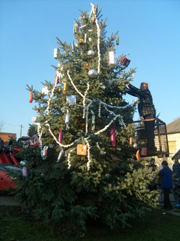 Ádvendi Karácsonyfa állítás 2012 XII 1-én Szuhánszki Jocó javít még egy kicsit a díszítésen