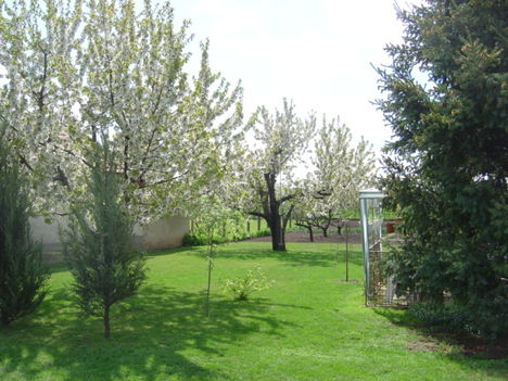 Kép 616