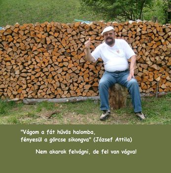 Mozzanatok 12
