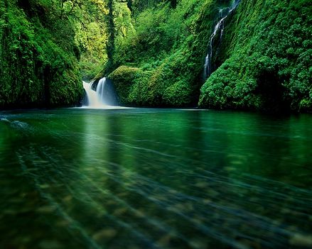 nature forest waterfalls rivers 