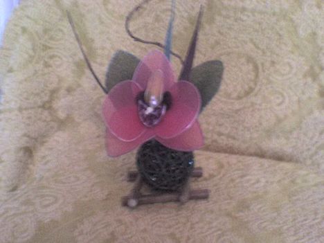 orchidea vesszőben