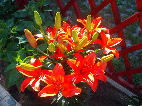 20120624 036