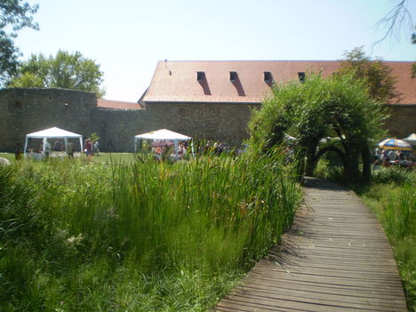 37)2012.08.25 VÁR KERT