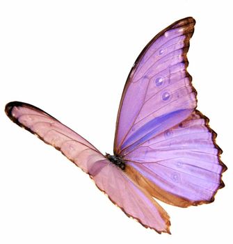 398731_345926742101468_1550287200_n