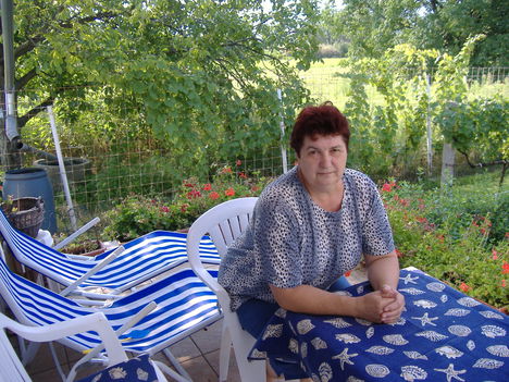 Andinál20080801 001