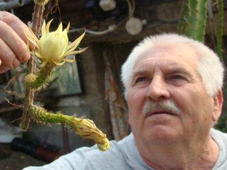 HEGYI ATILLA ANTAL GYÜJTEMÉNYÉBŐL ..2012. 2