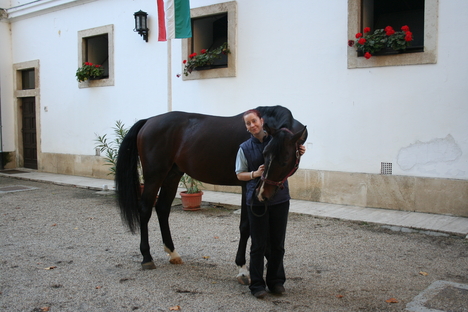 Utoljára együtt 2006