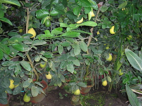 2012 12 07 013mw