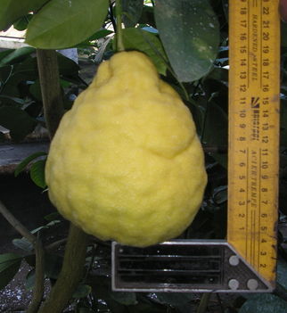 2012 12 07 028mw